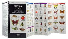 Pocket Naturalist: Bugs & Slugs